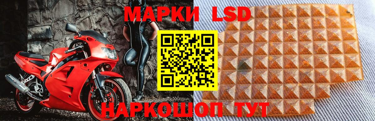 Сухой Лог  Наркотические марки 1500мкг  Вход с VPN  где можно купить наркотик  Наркотические марки 1500мкг 