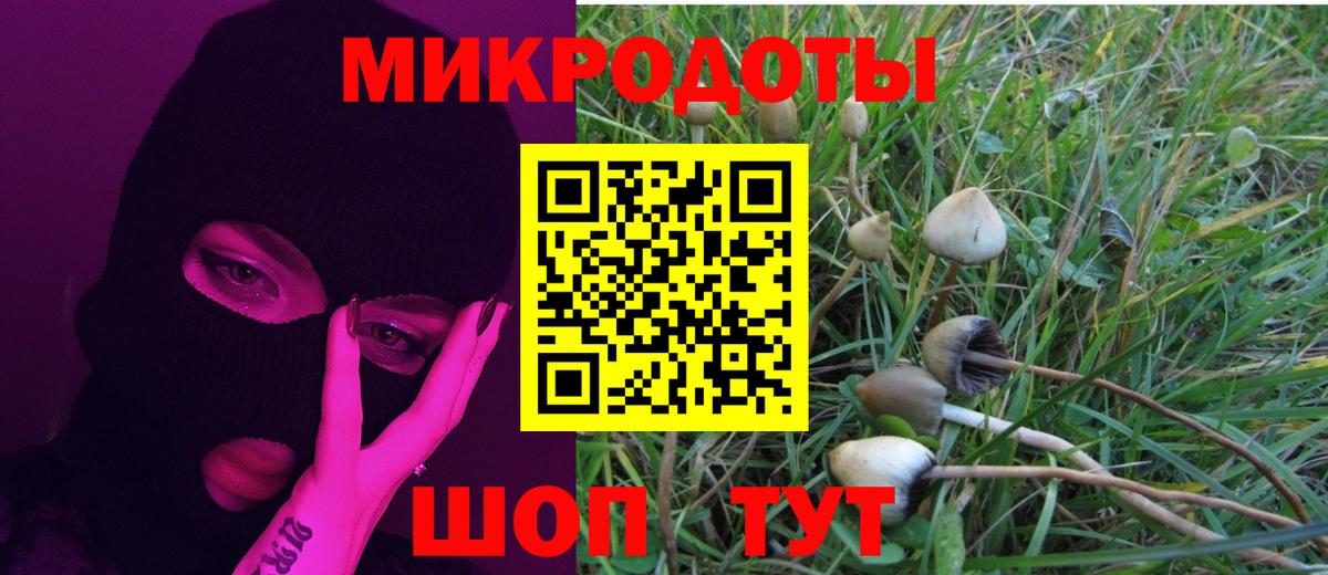 Сухой Лог  Галлюциногенные грибы мухоморы  Вход с VPN 