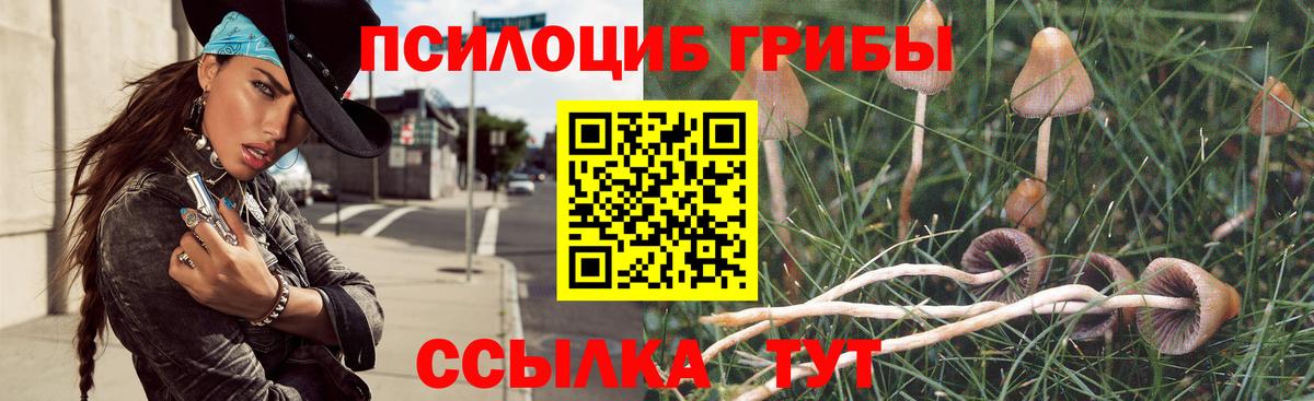 Галлюциногенные грибы мицелий Сухой Лог