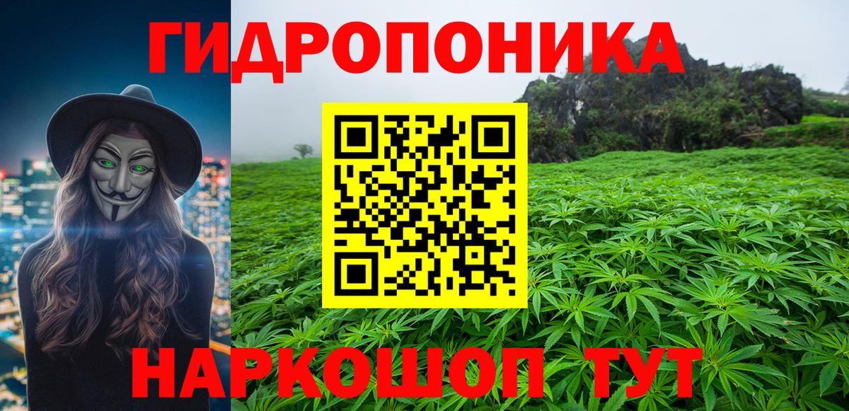 Бошки марихуана конопля Сухой Лог